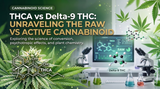 THCA vs Delta-9 THC: What's the Difference?