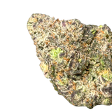 White Cherry Freeze (Hybrid)