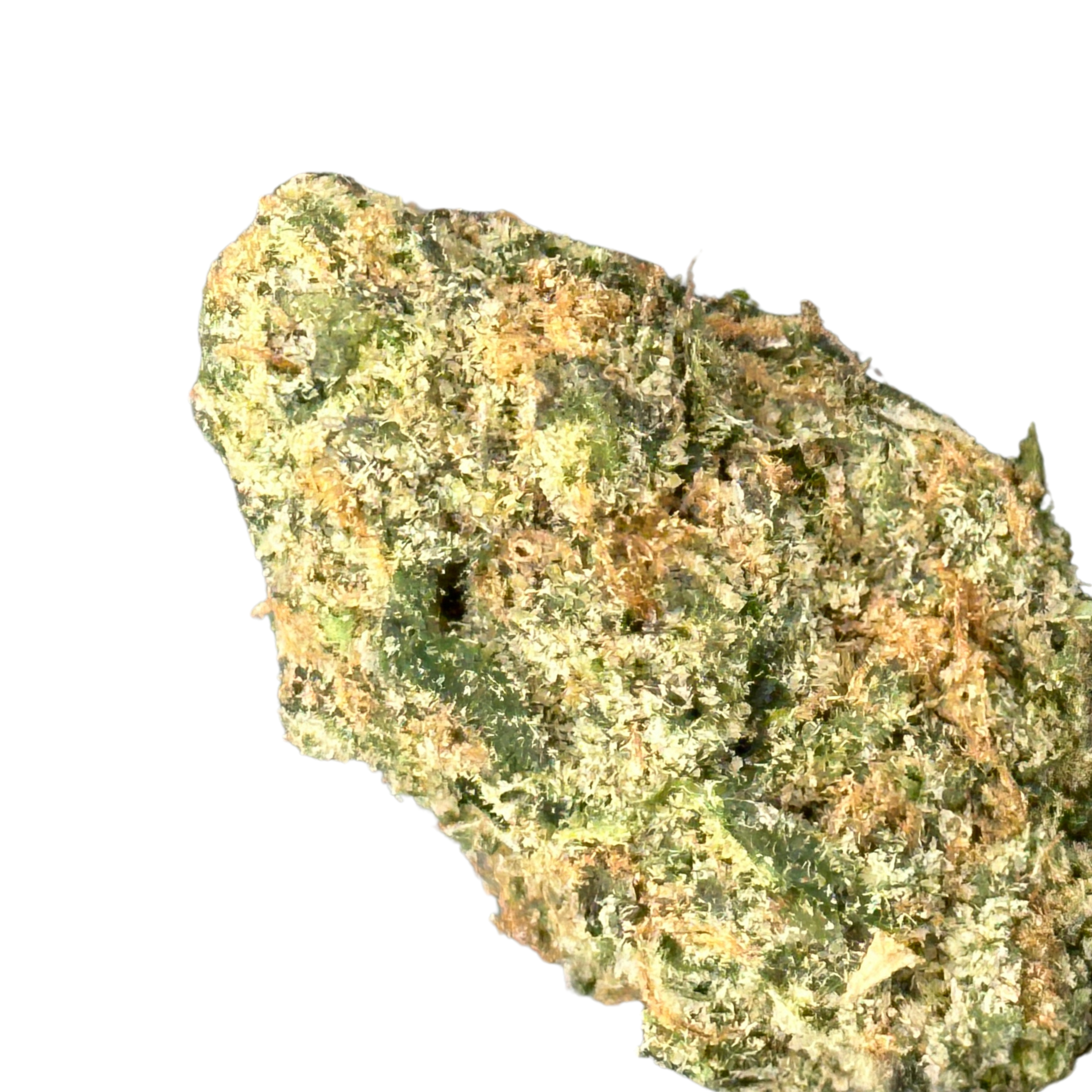 Zereal Milk (Hybrid)
