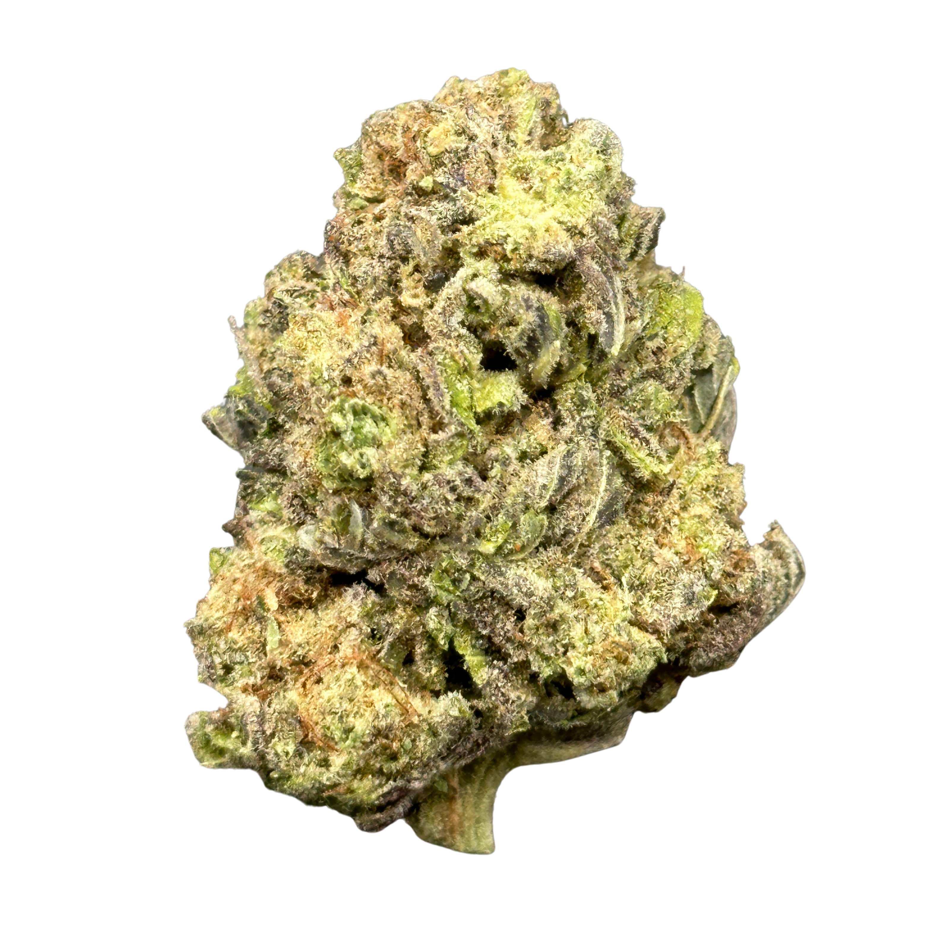 Blue Razz Zerbert (Hybrid)