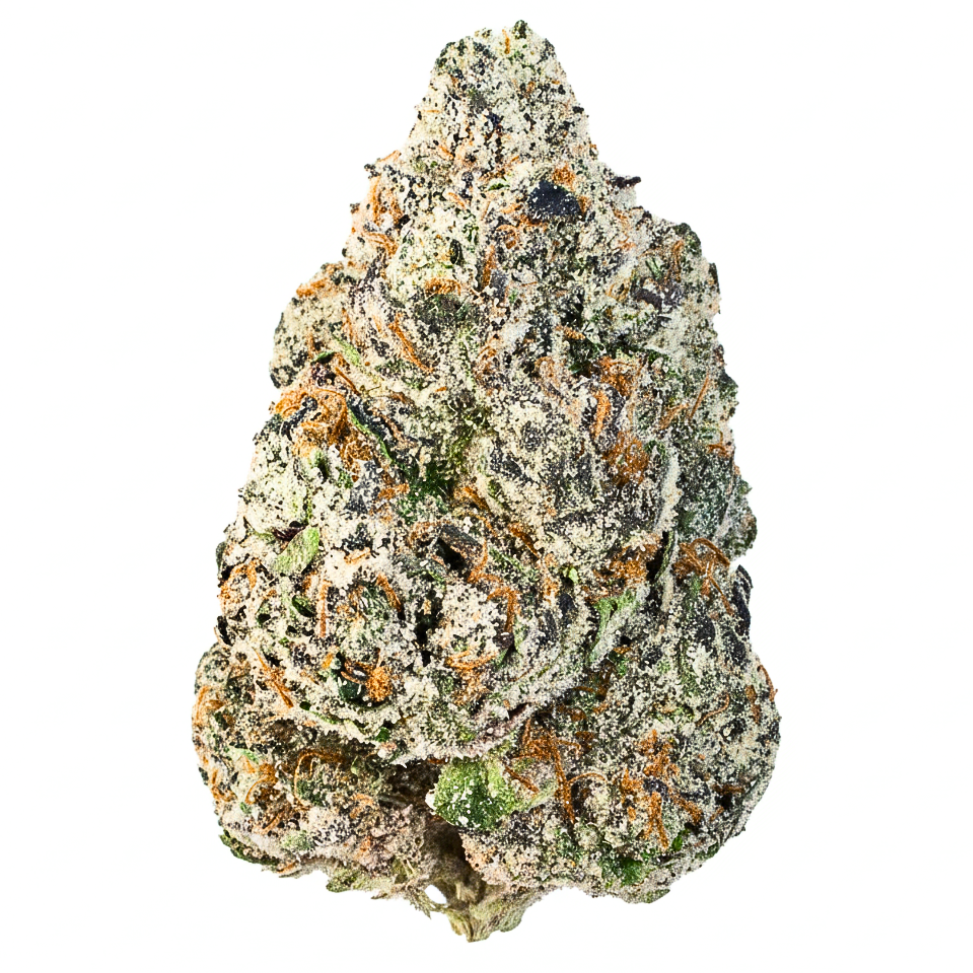 White Cherry Rocketpop (Hybrid)