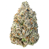 White Cherry Rocketpop (Hybrid)