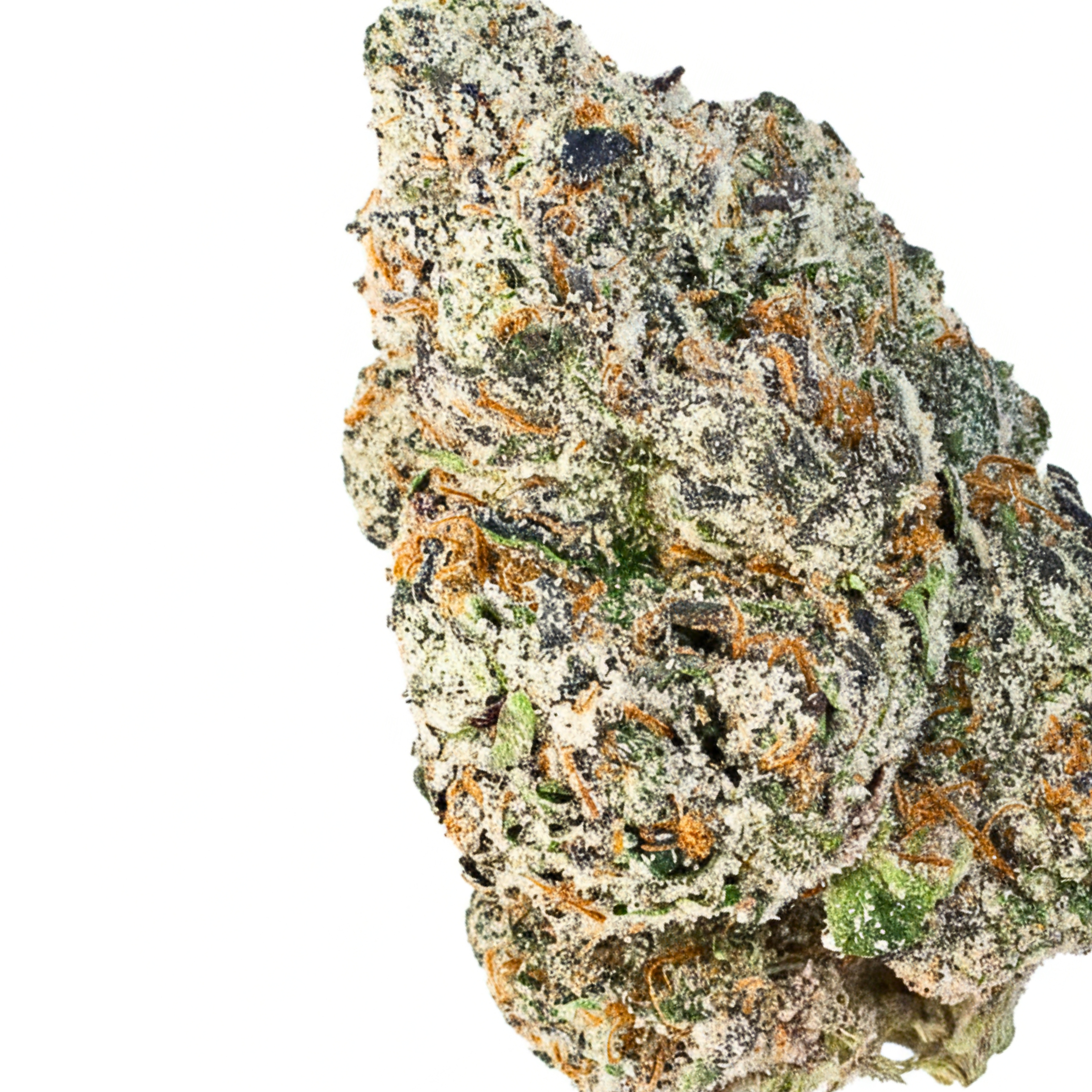 White Cherry Rocketpop (Hybrid)