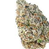White Cherry Rocketpop (Hybrid)