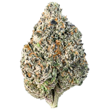 Blue Zlushee (Hybrid)