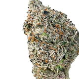 Blue Zlushee (Hybrid)