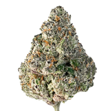 Mango Bon Bon (Hybrid)