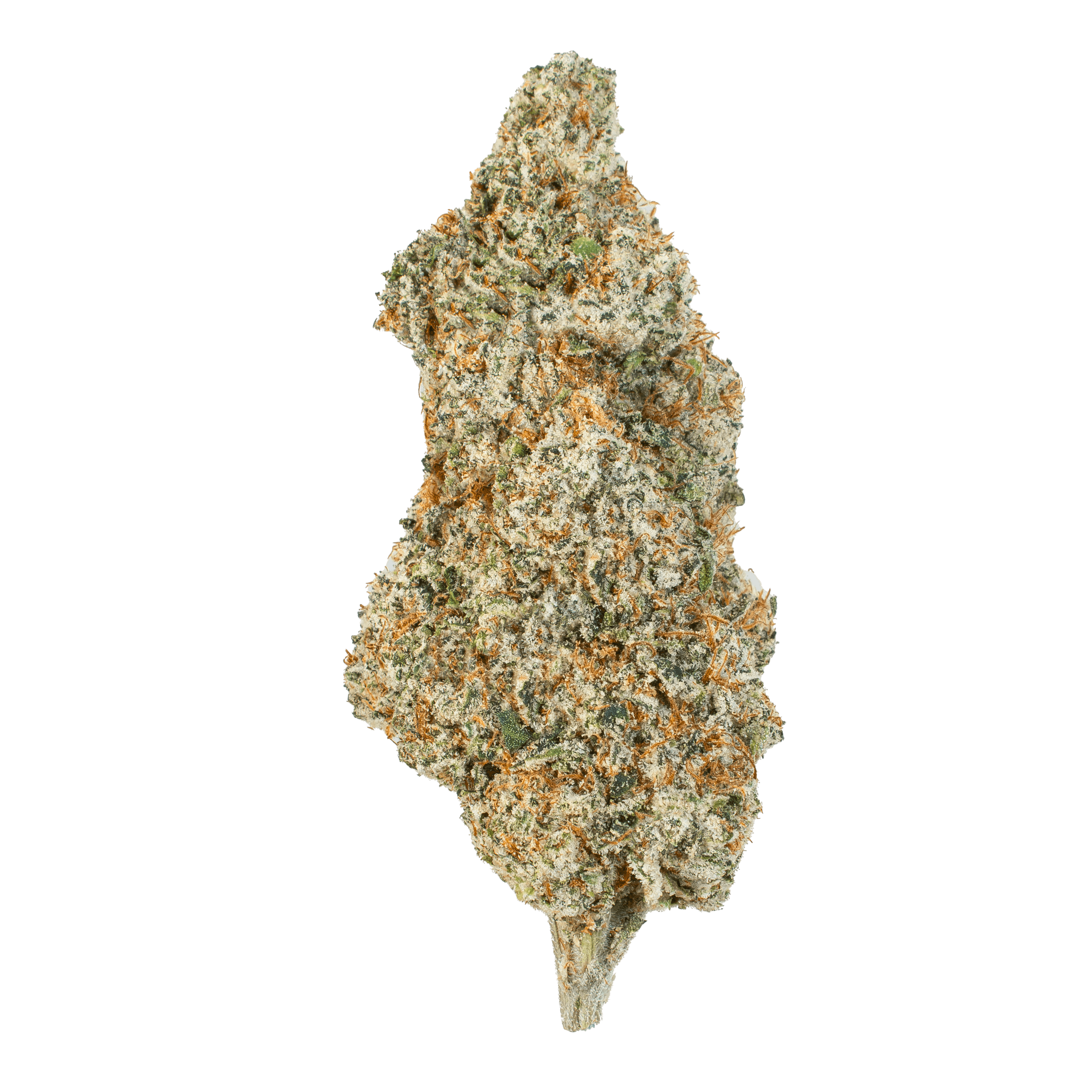 Utopia Runtz ( Indica )