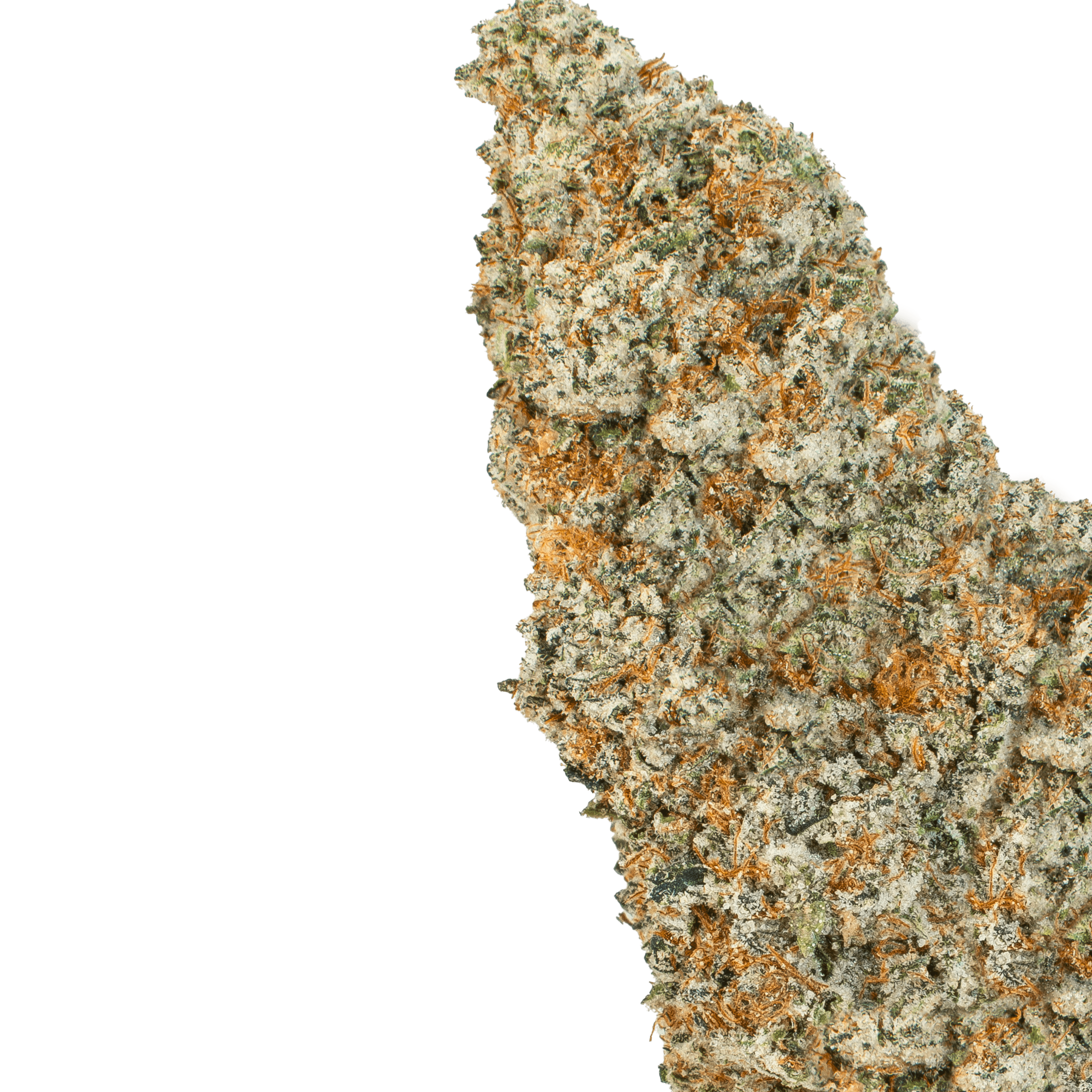 Utopia Runtz ( Indica )