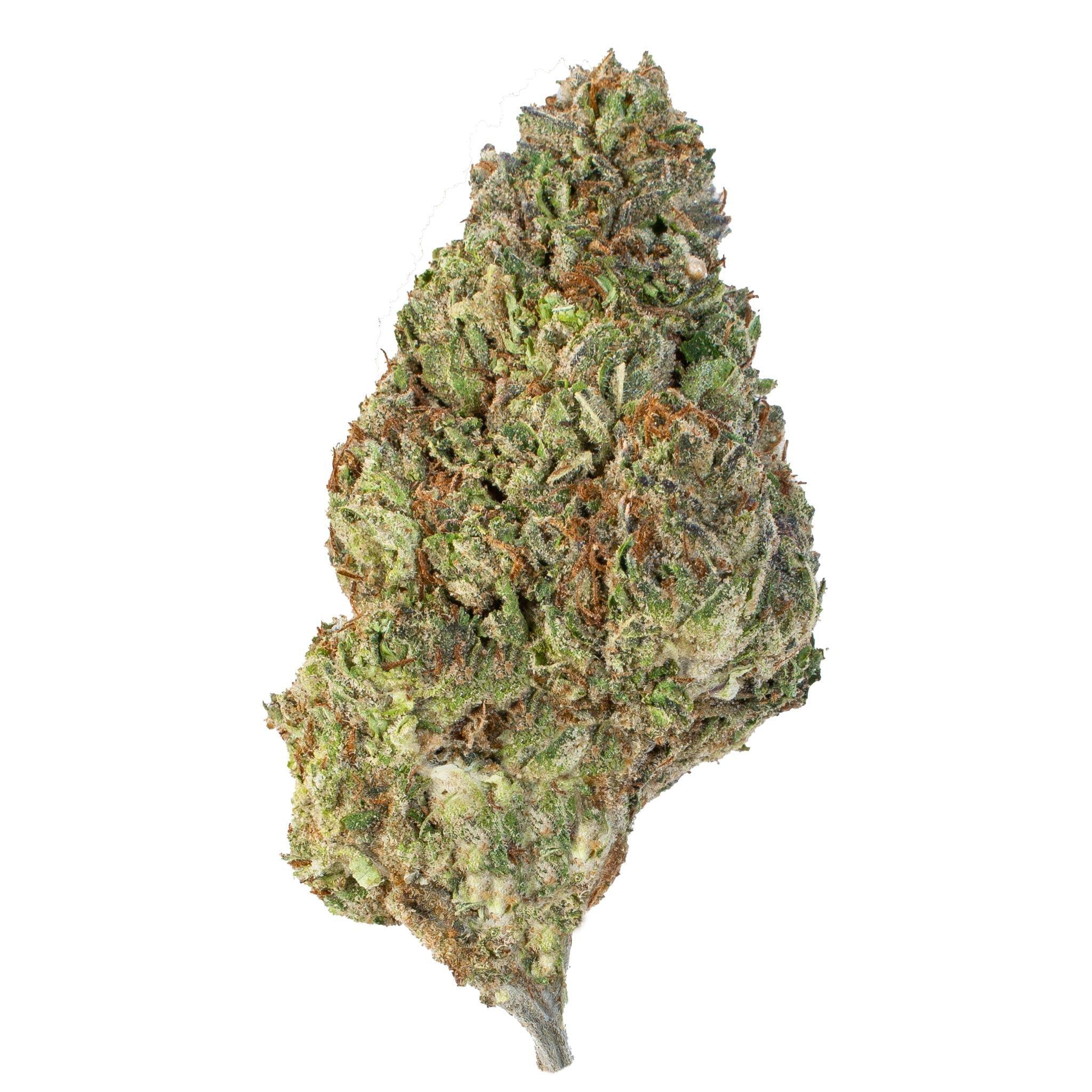 Cherry Bombay ( Indica Hybrid )