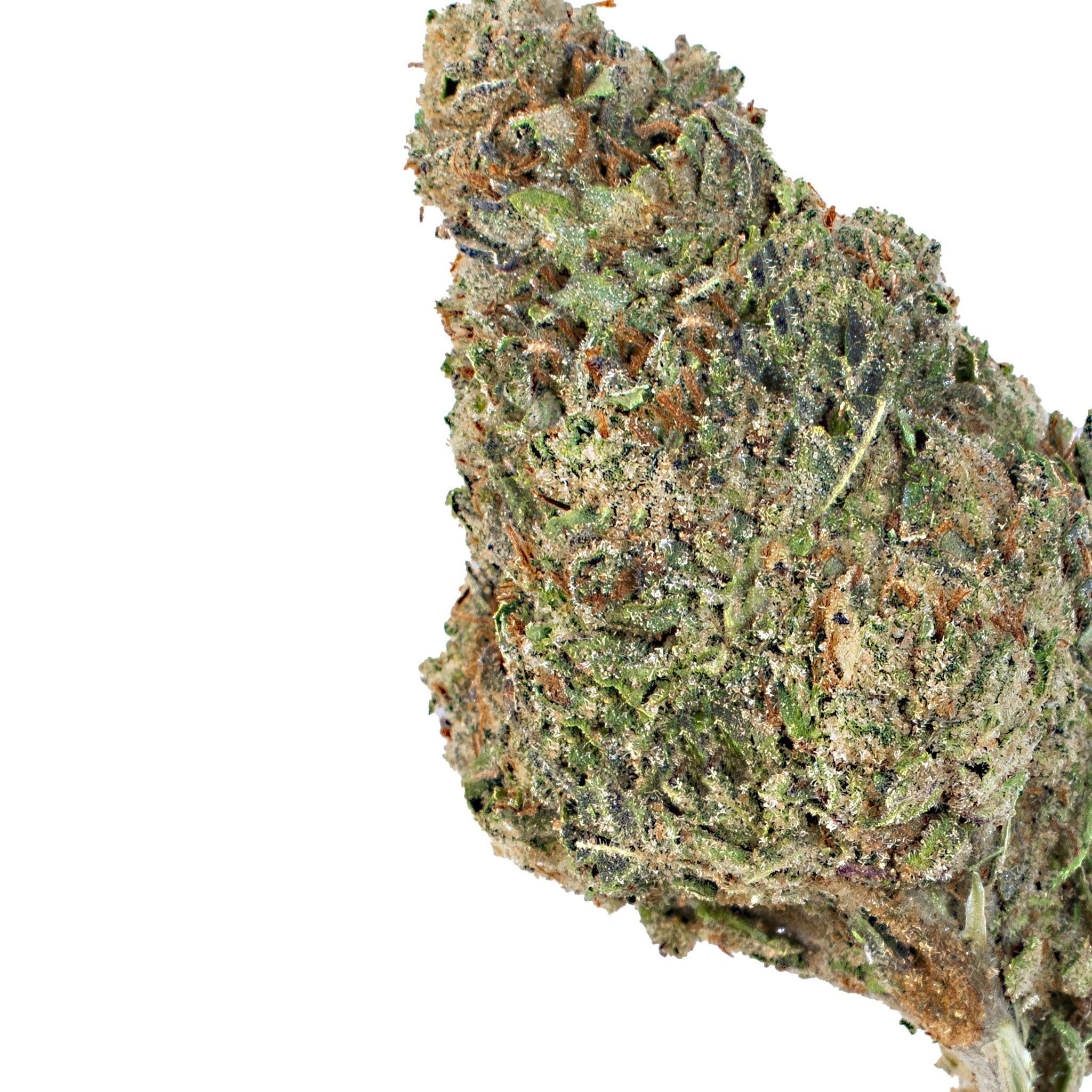Cherry Bombay ( Indica Hybrid )