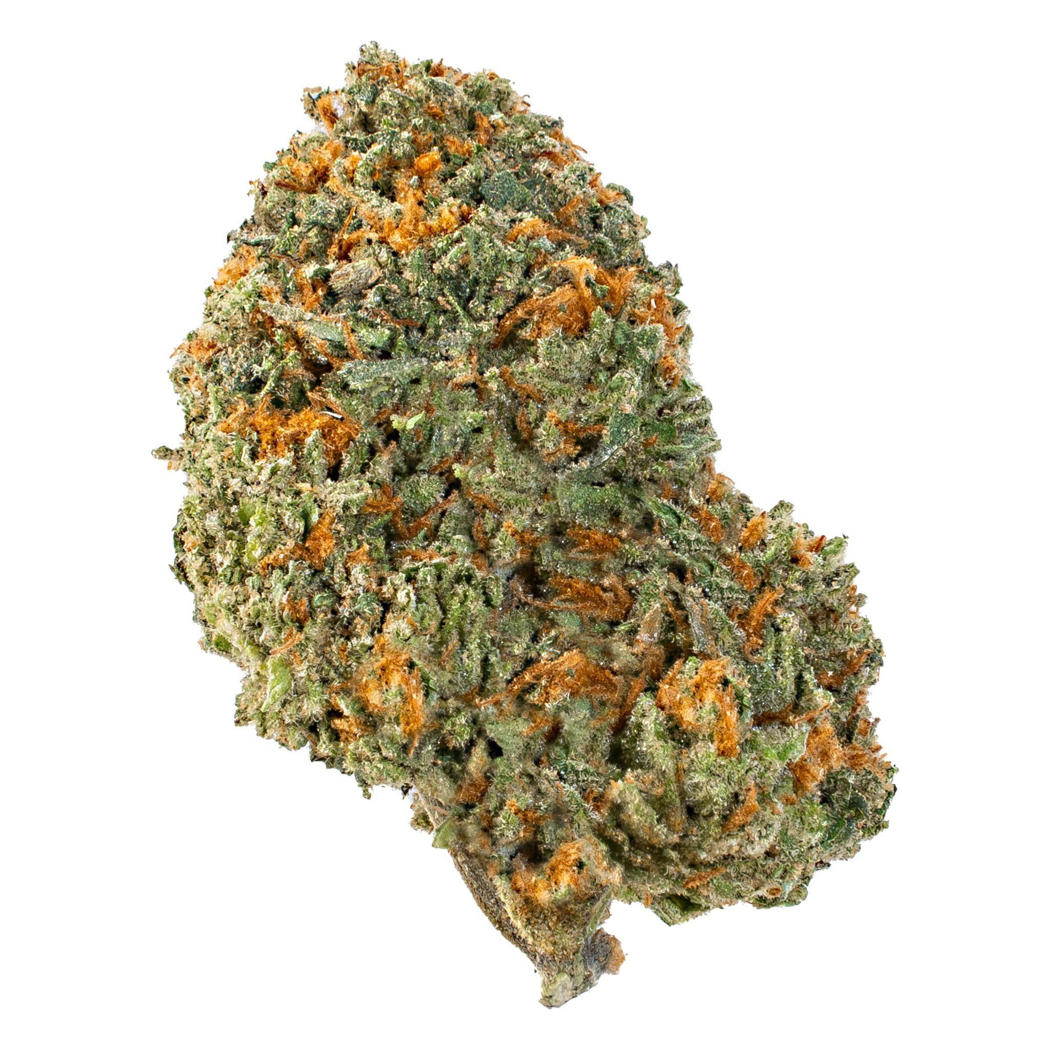 GG4 (Hybrid)