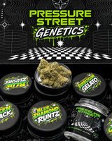 Pressure Street Genetics Box — 8 Premium Jars | $320 Value