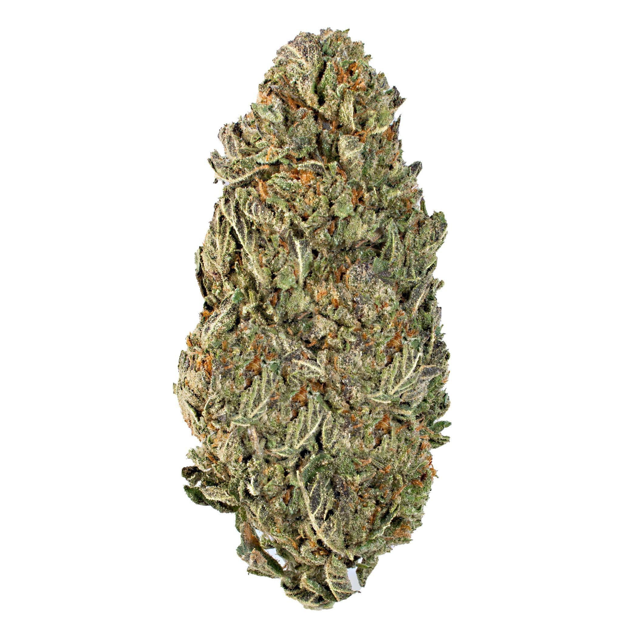 Mac 1 (Hybrid)