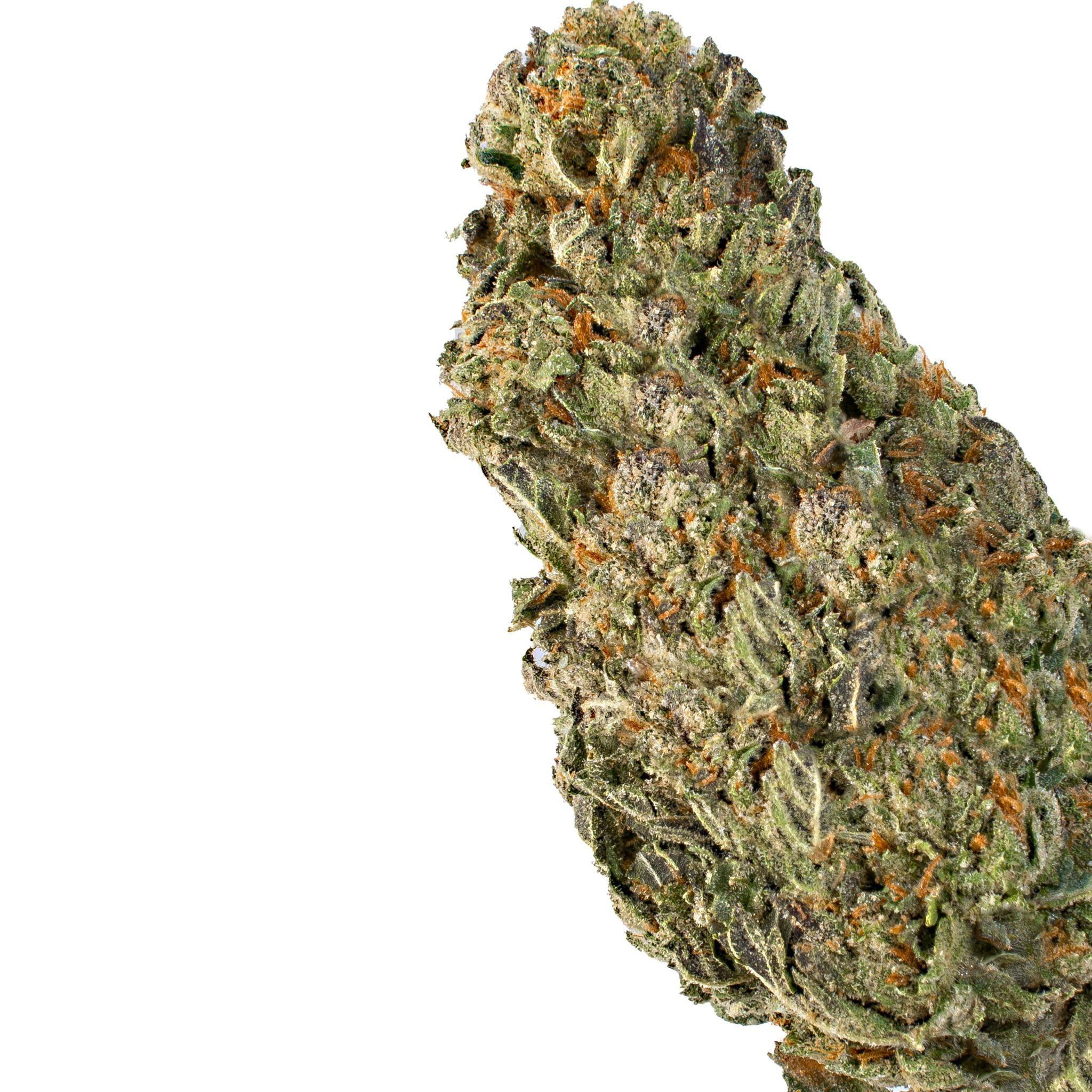 Mac 1 (Hybrid)