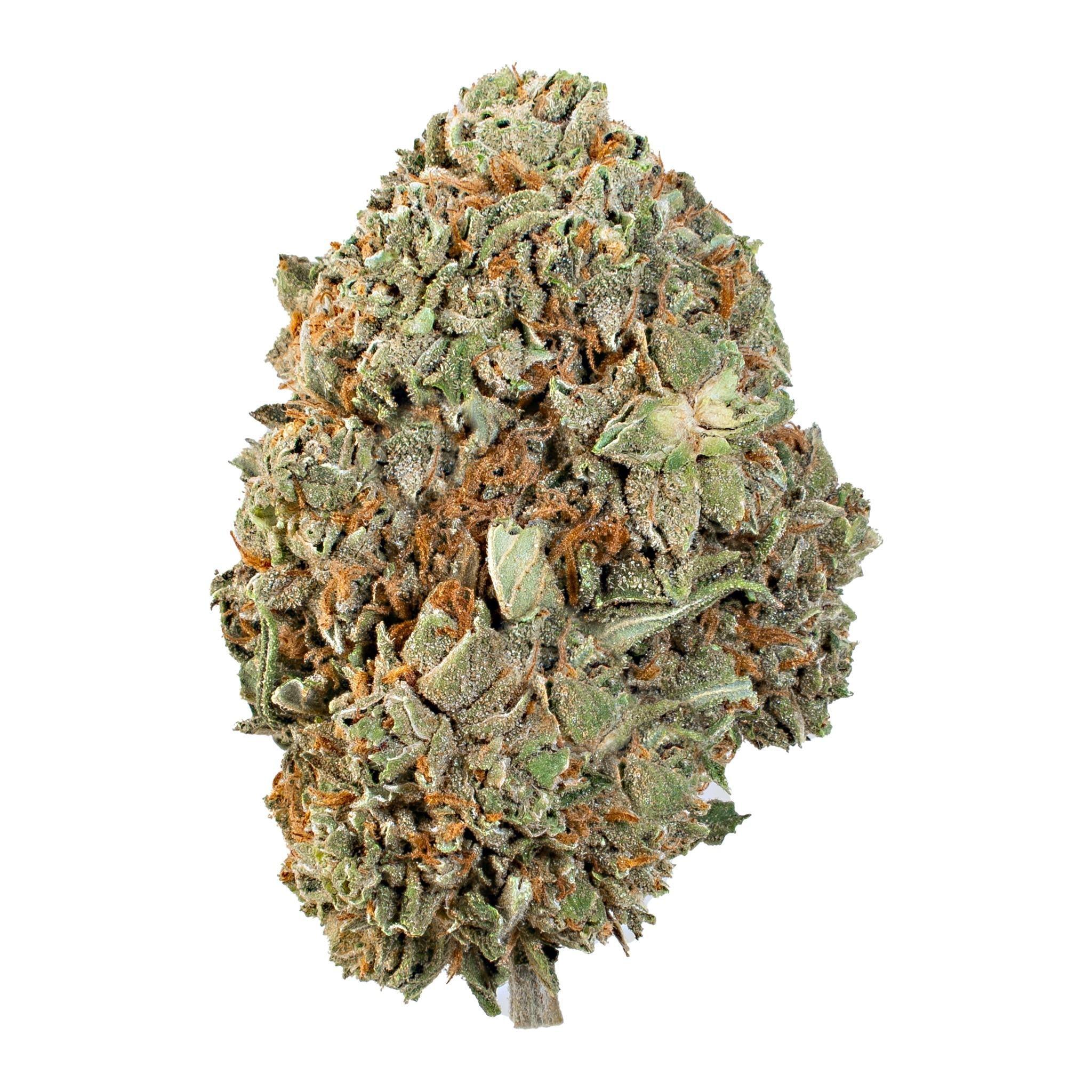 Carbon Footprint ( Indica Hybrid )