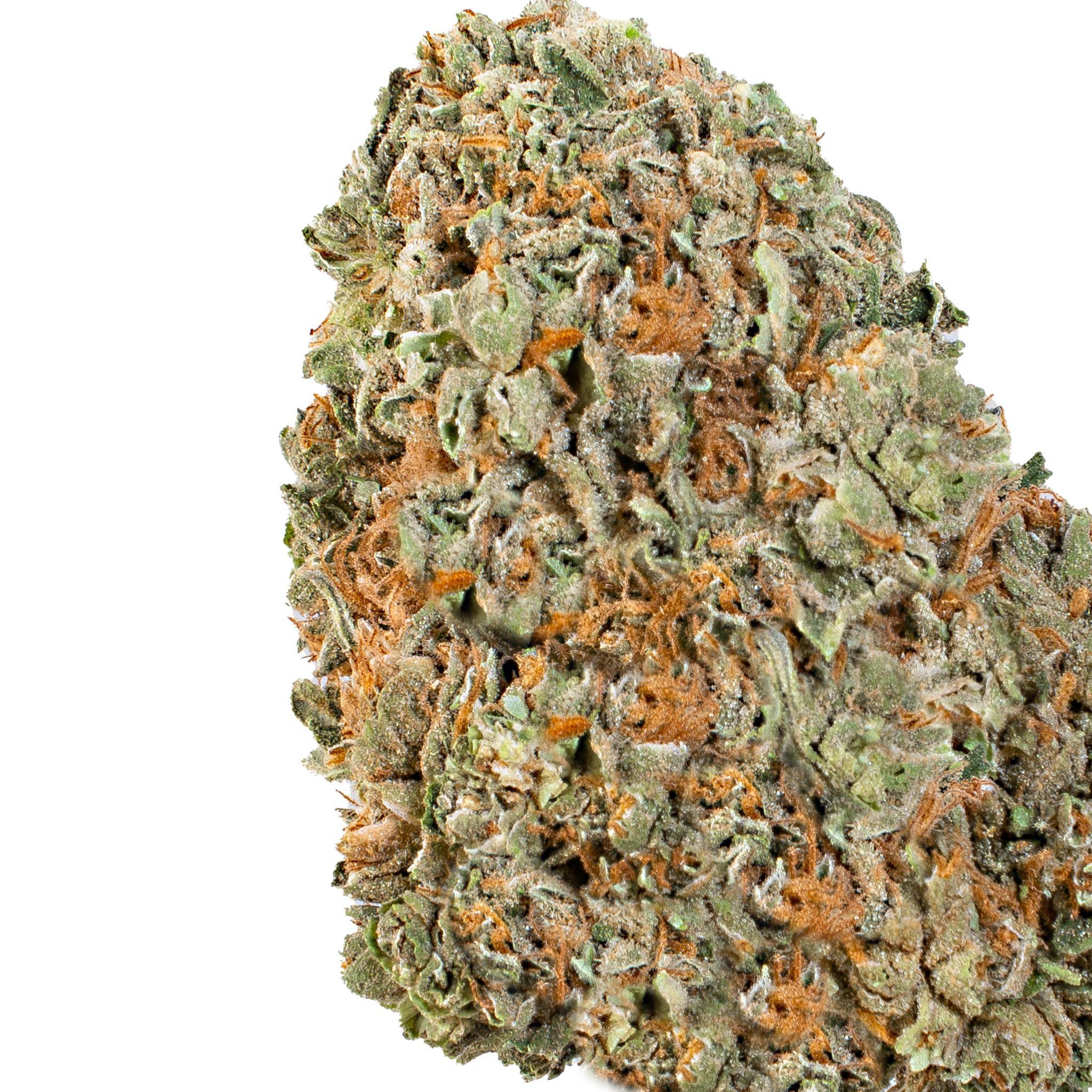 Carbon Footprint ( Indica Hybrid )
