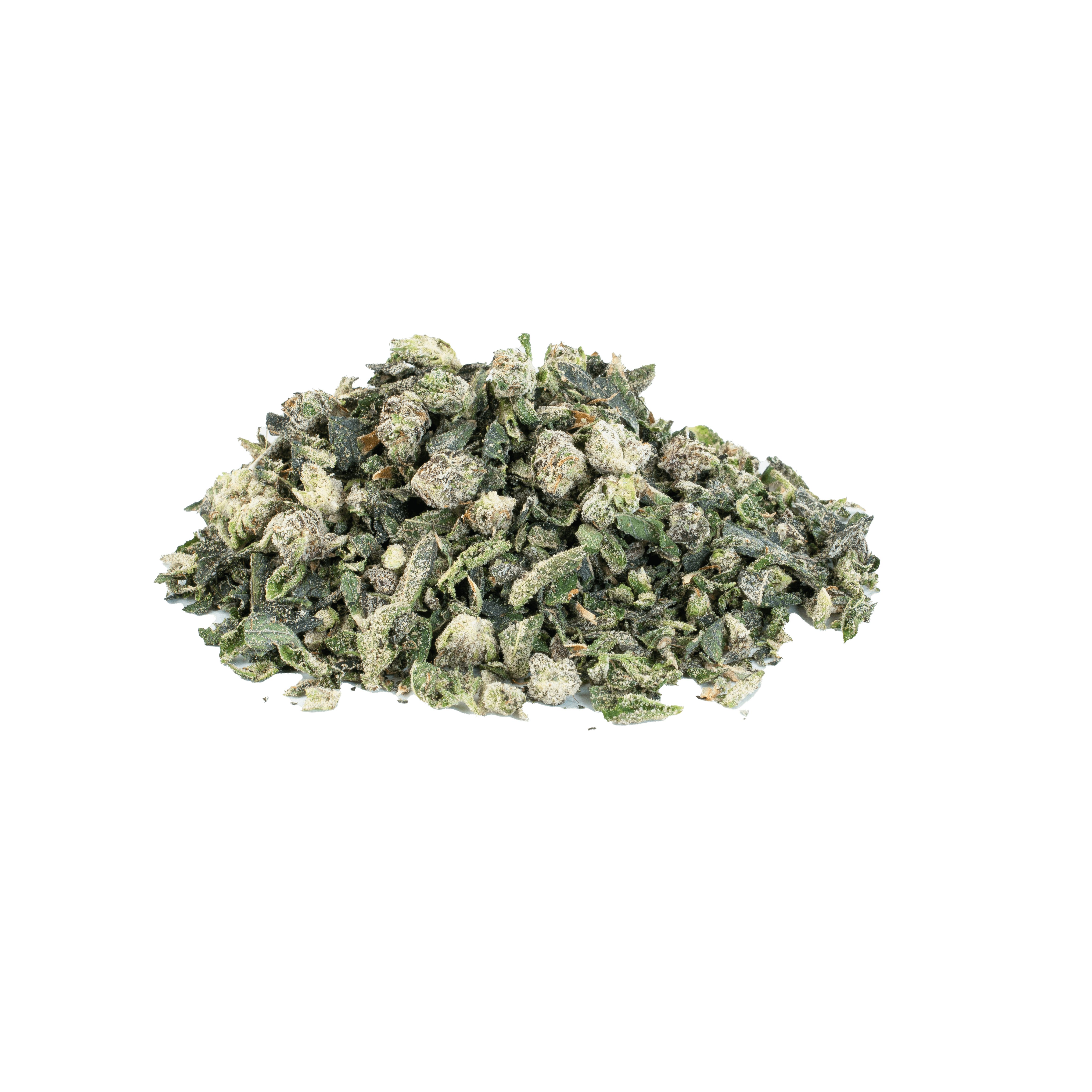 Vespera Starbeil Shake ( Indica)
