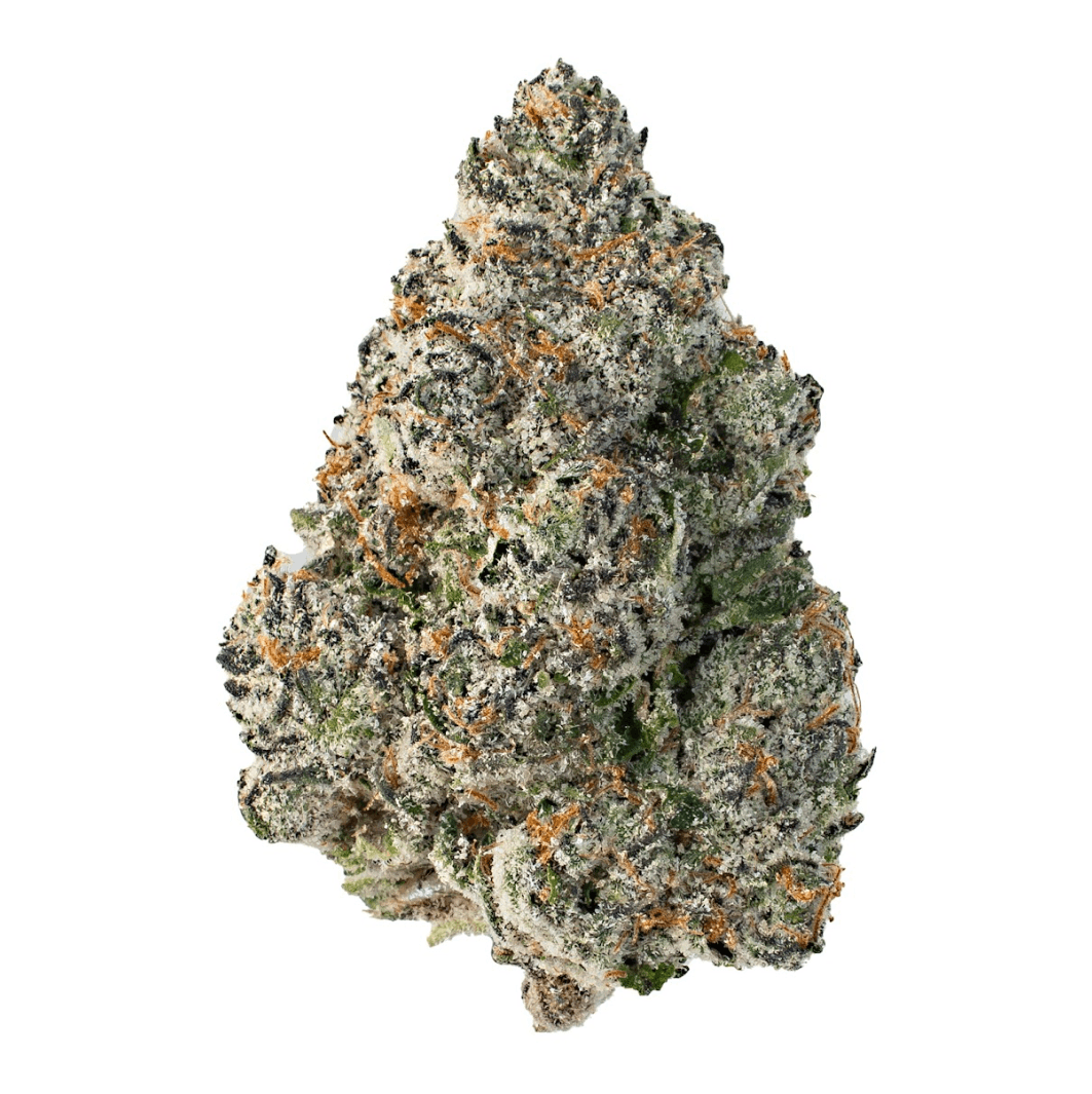 Hi Chew Cherry ( Indica Hybrid )