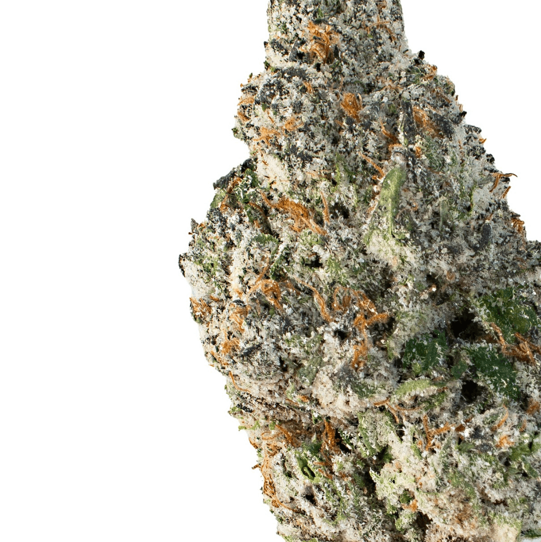 Hi Chew Cherry ( Indica Hybrid )