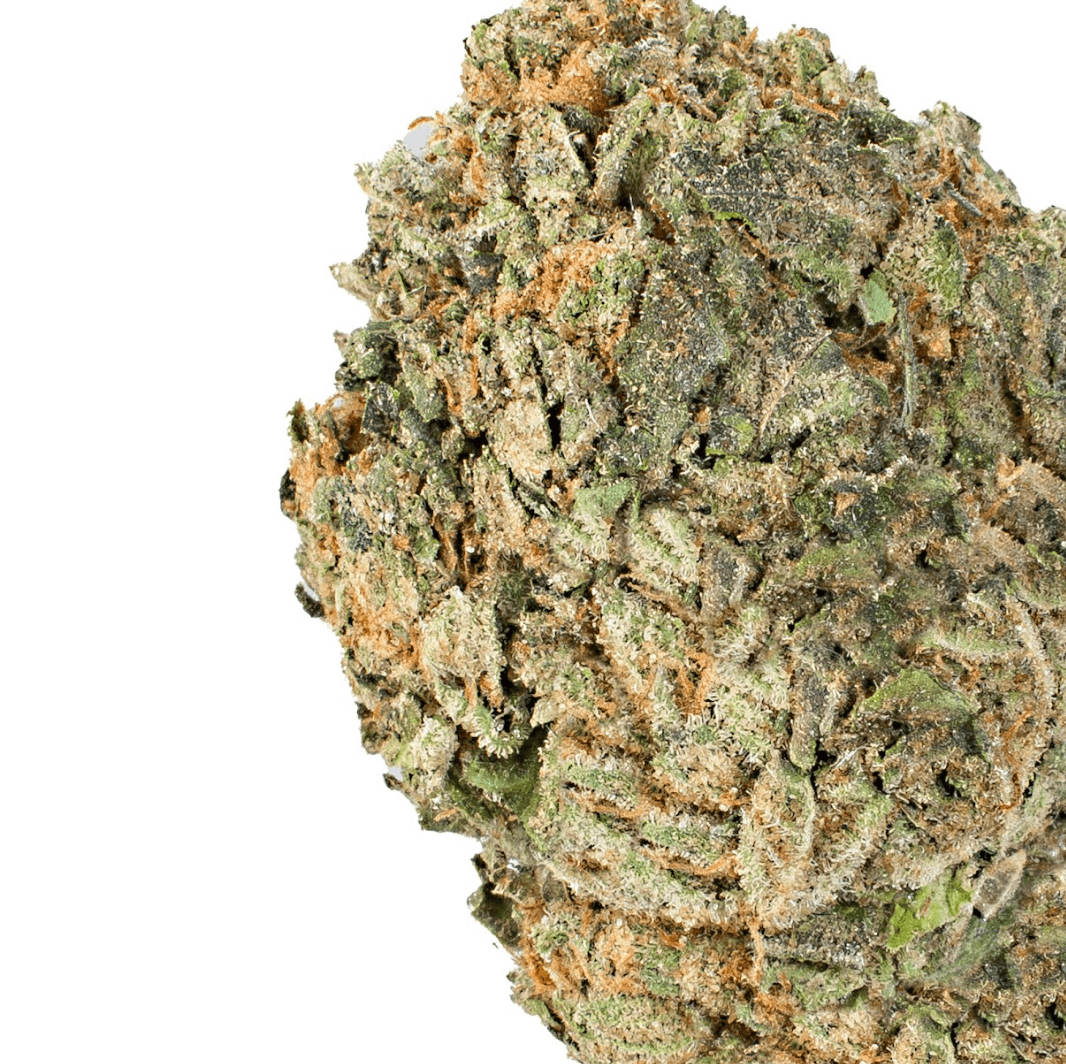 Yuzu Pie ( Indica Hybrid )