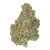 Passion Fruit ( Indica )