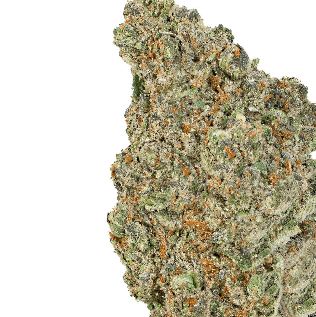 Passion Fruit ( Indica )