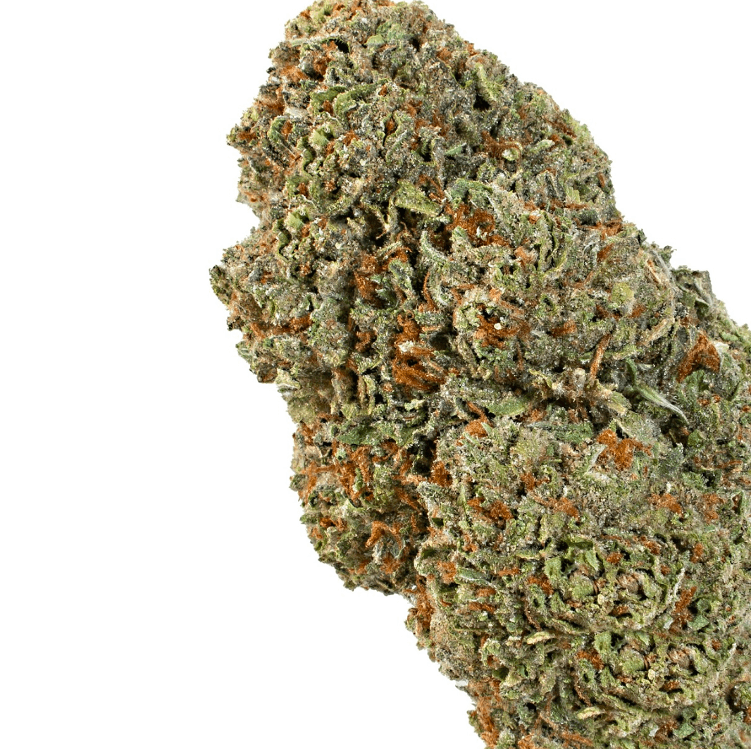 Cherry Zmarties ( Indica )