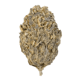Raspberry Gumbo - Sweet & Gassy Exotic Flower
