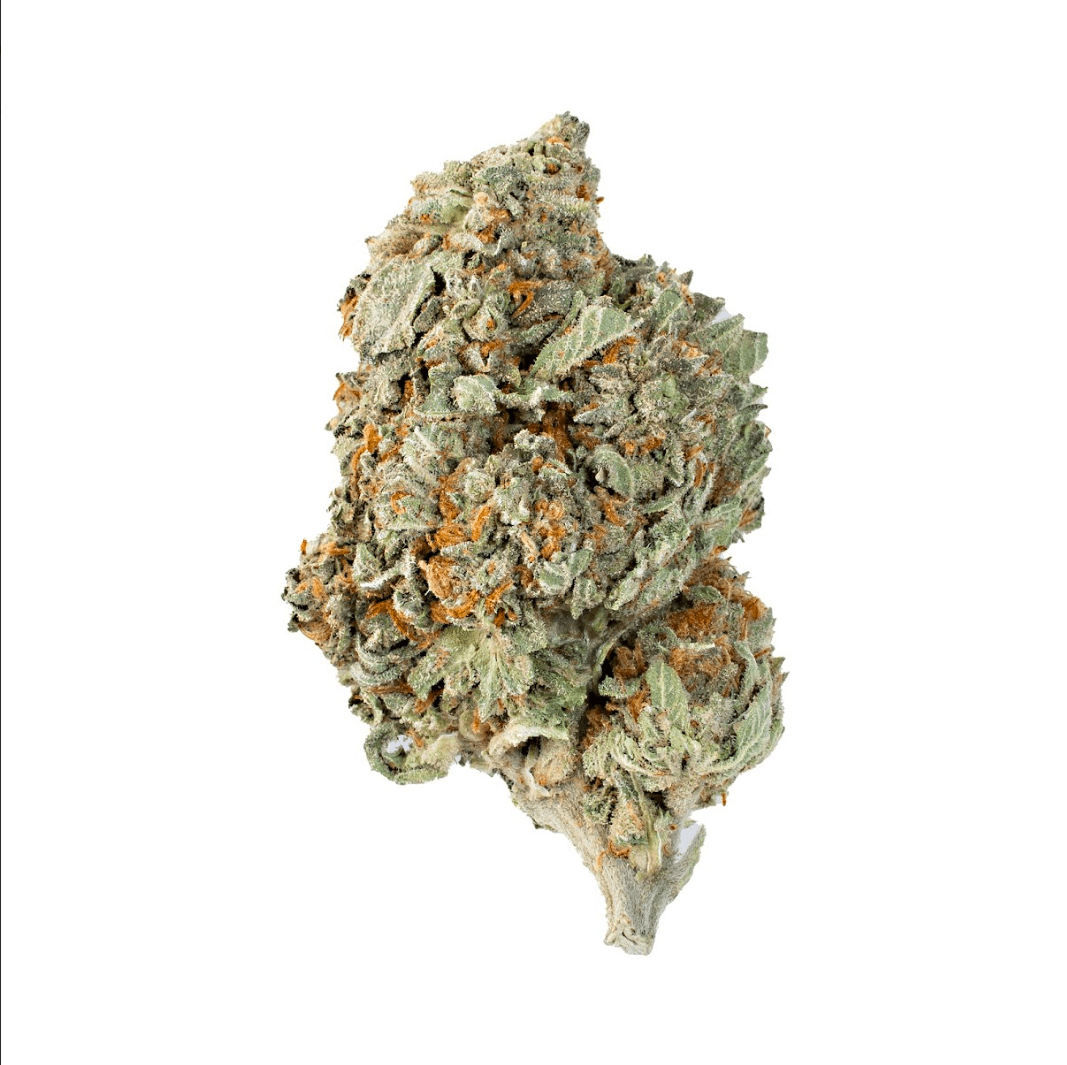 Sugar Halo (Hybrid)