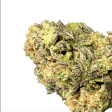 Blue Razz Zerbert (Hybrid)