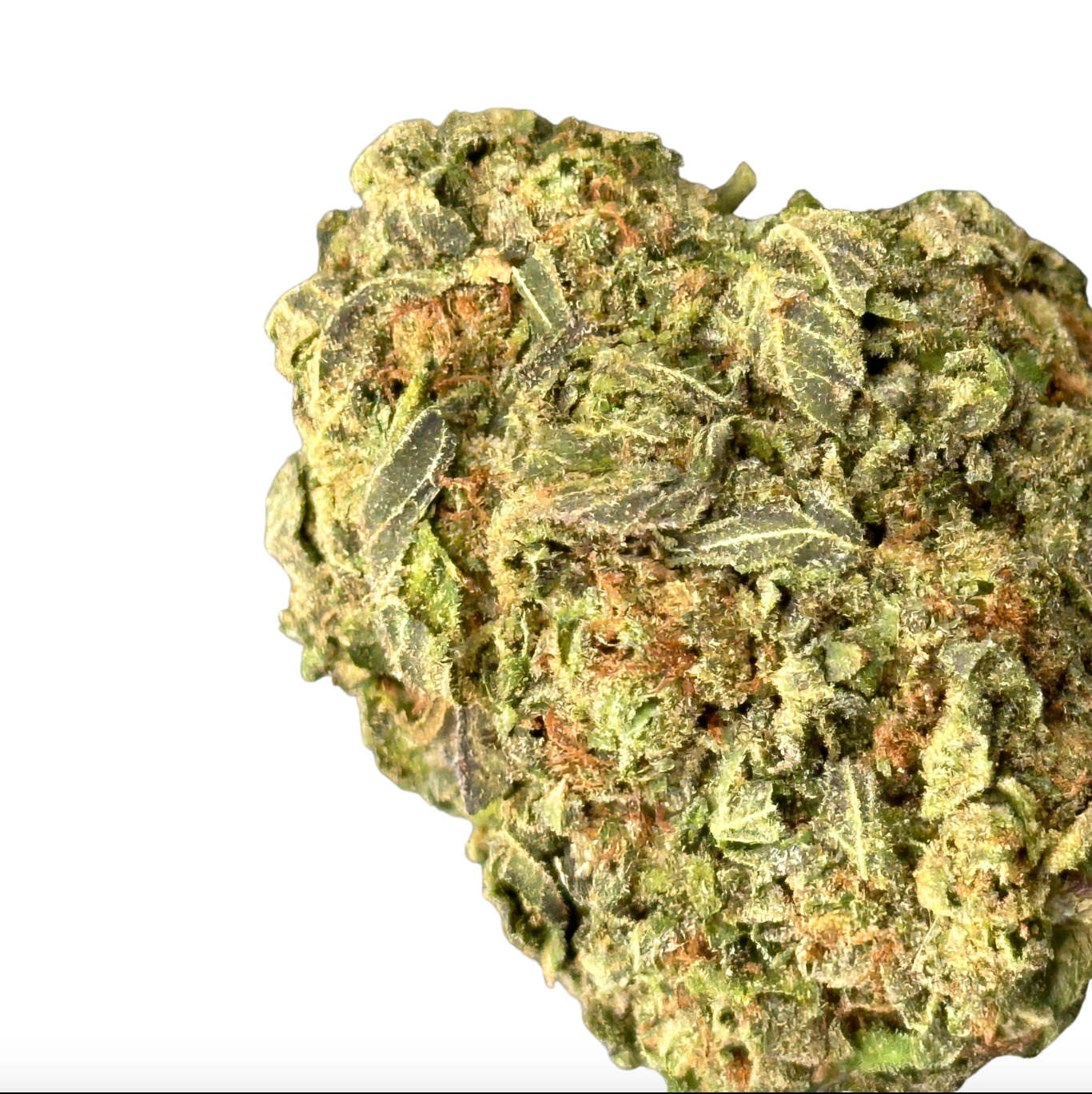 Cotton Candy Grapez (Hybrid)