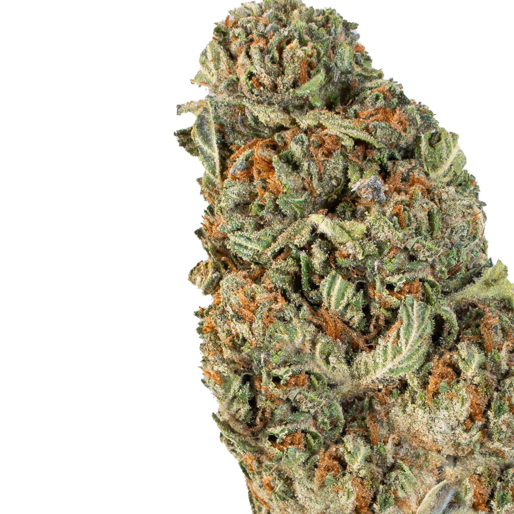 Apple Fritter ( Indica Hybrid )