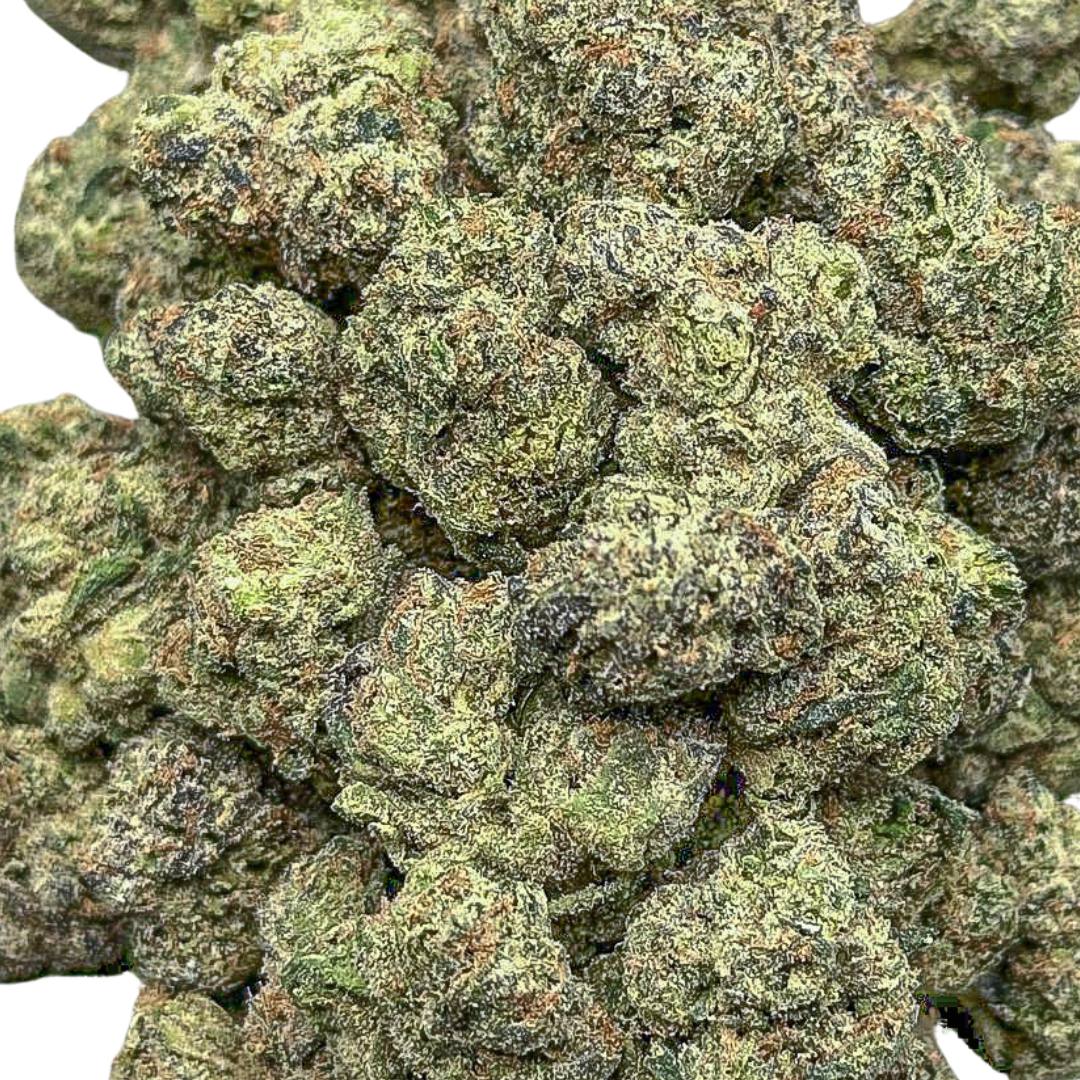 Midnight Bloom (Mediums) (Indica Hybrid)