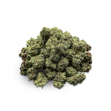 Bubblegum Gelato (Mediums) (Hybrid)
