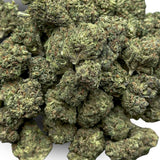 Bubblegum Gelato (Mediums) (Hybrid)