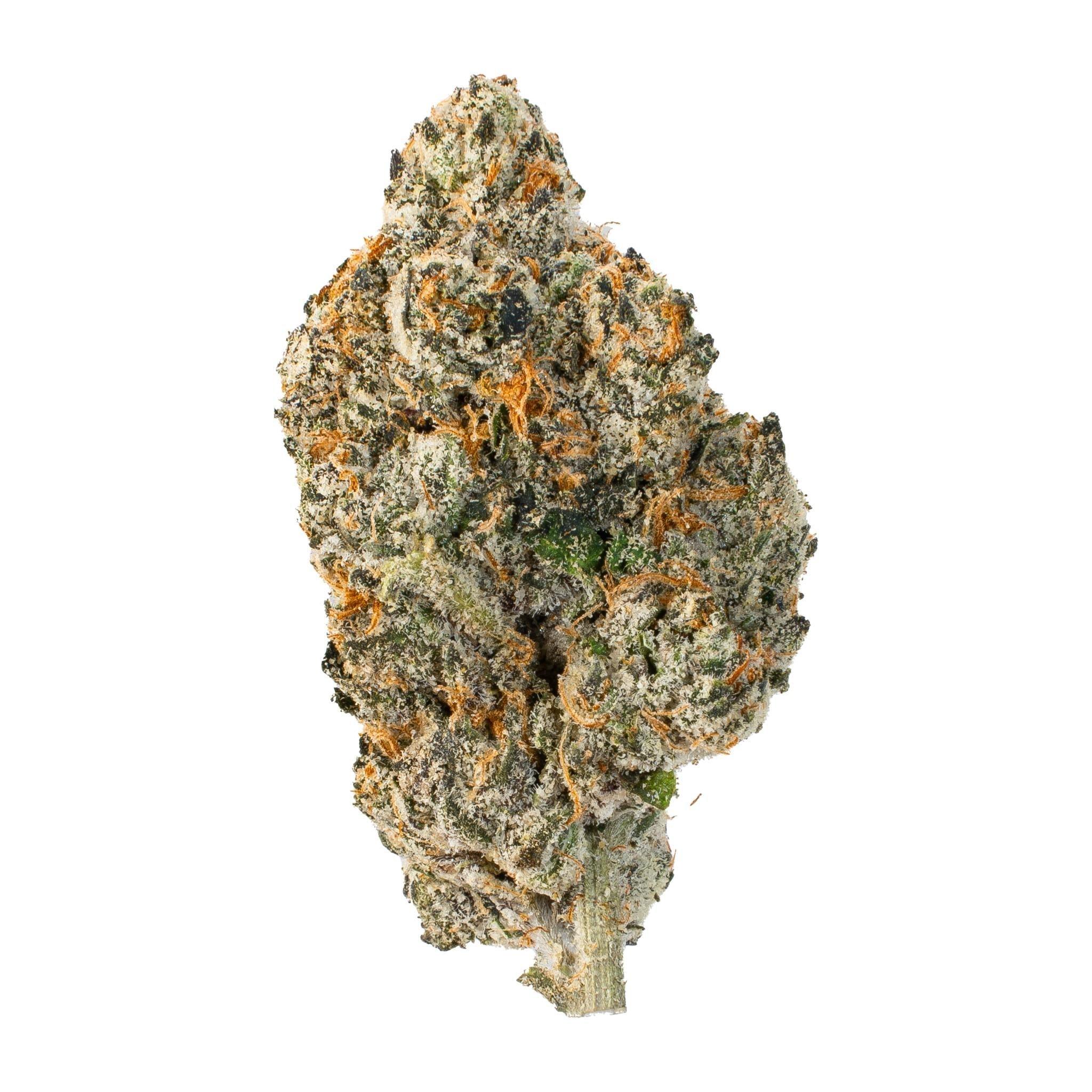 Horchata RedBull ( Hybrid )