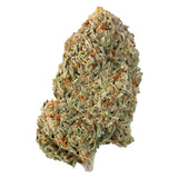 Mochilatti ( Indica Hybrid )