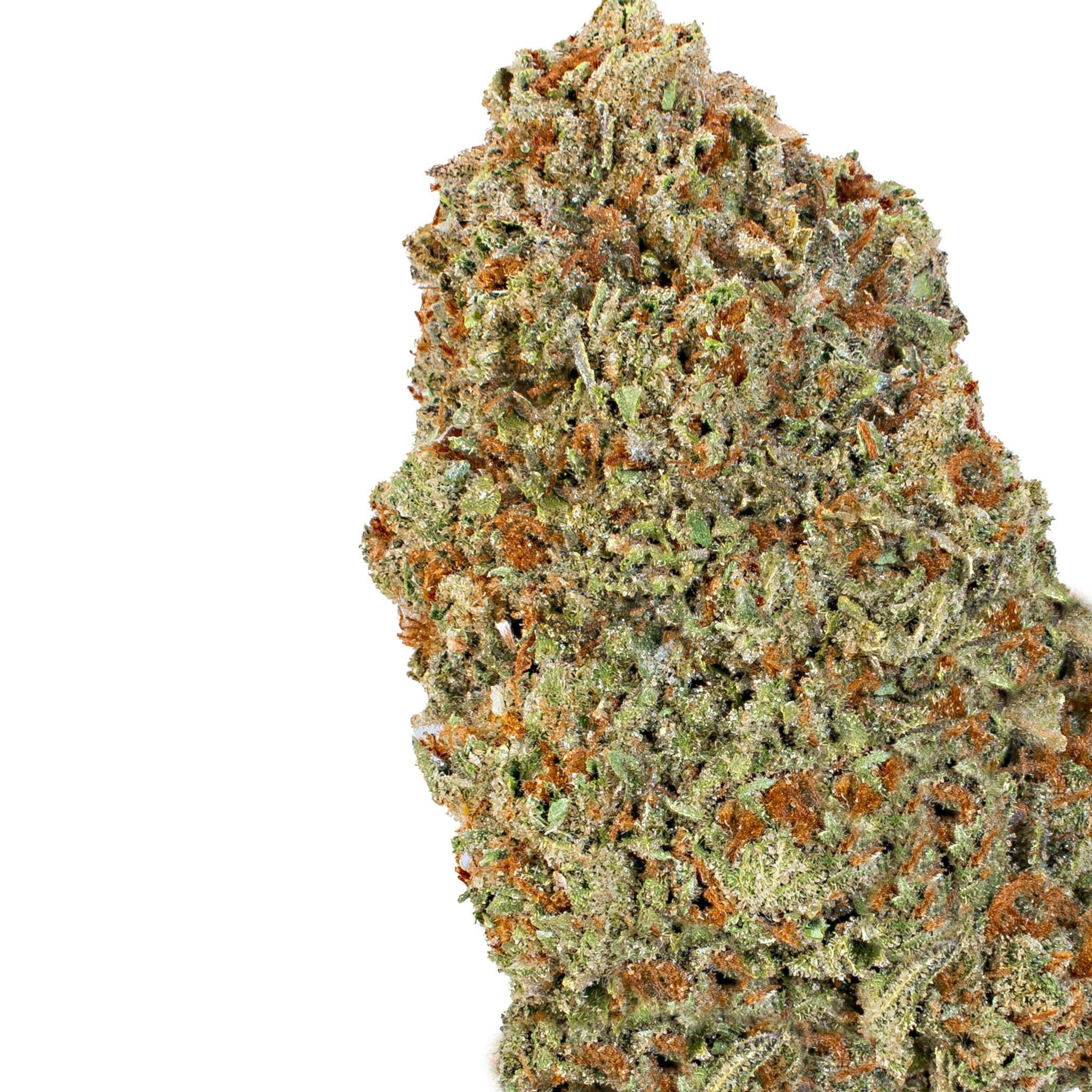 Mochilatti ( Indica Hybrid )
