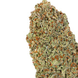 Mochilatti ( Indica Hybrid )