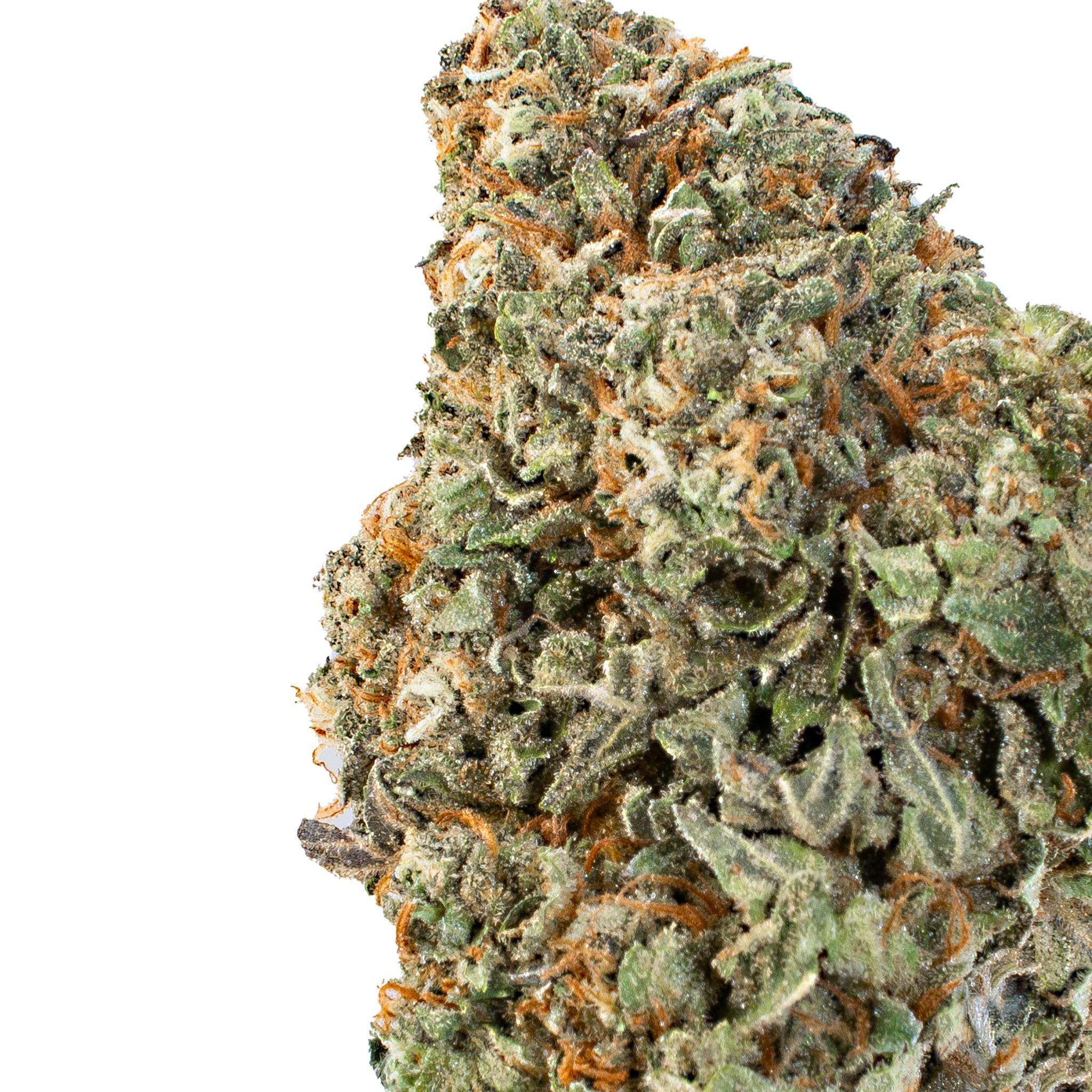 Chocolate Rocks ( Indica Hybrid )