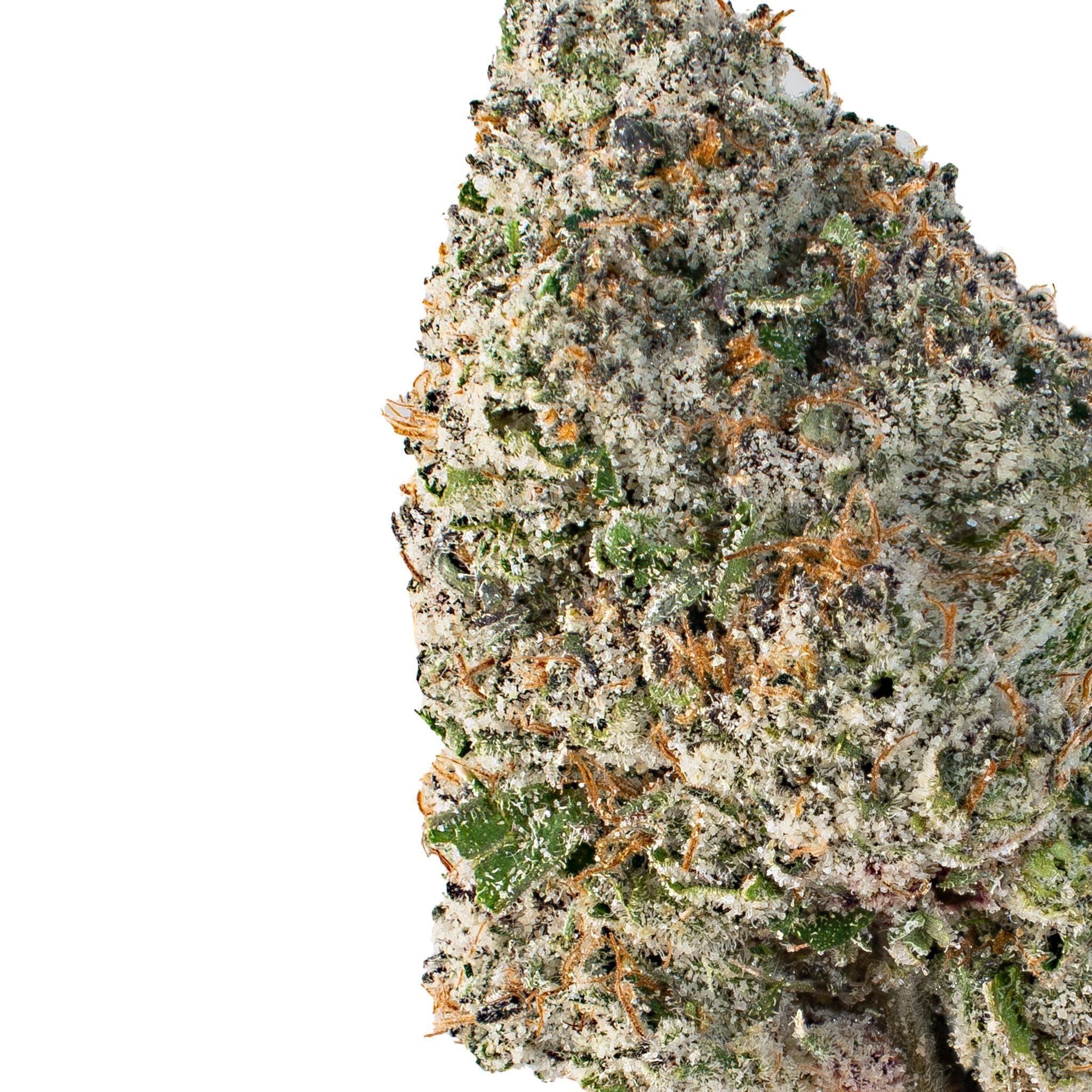 Veloria Starshade ( Indica Hybrid )