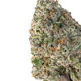 Veloria Starshade ( Indica Hybrid )