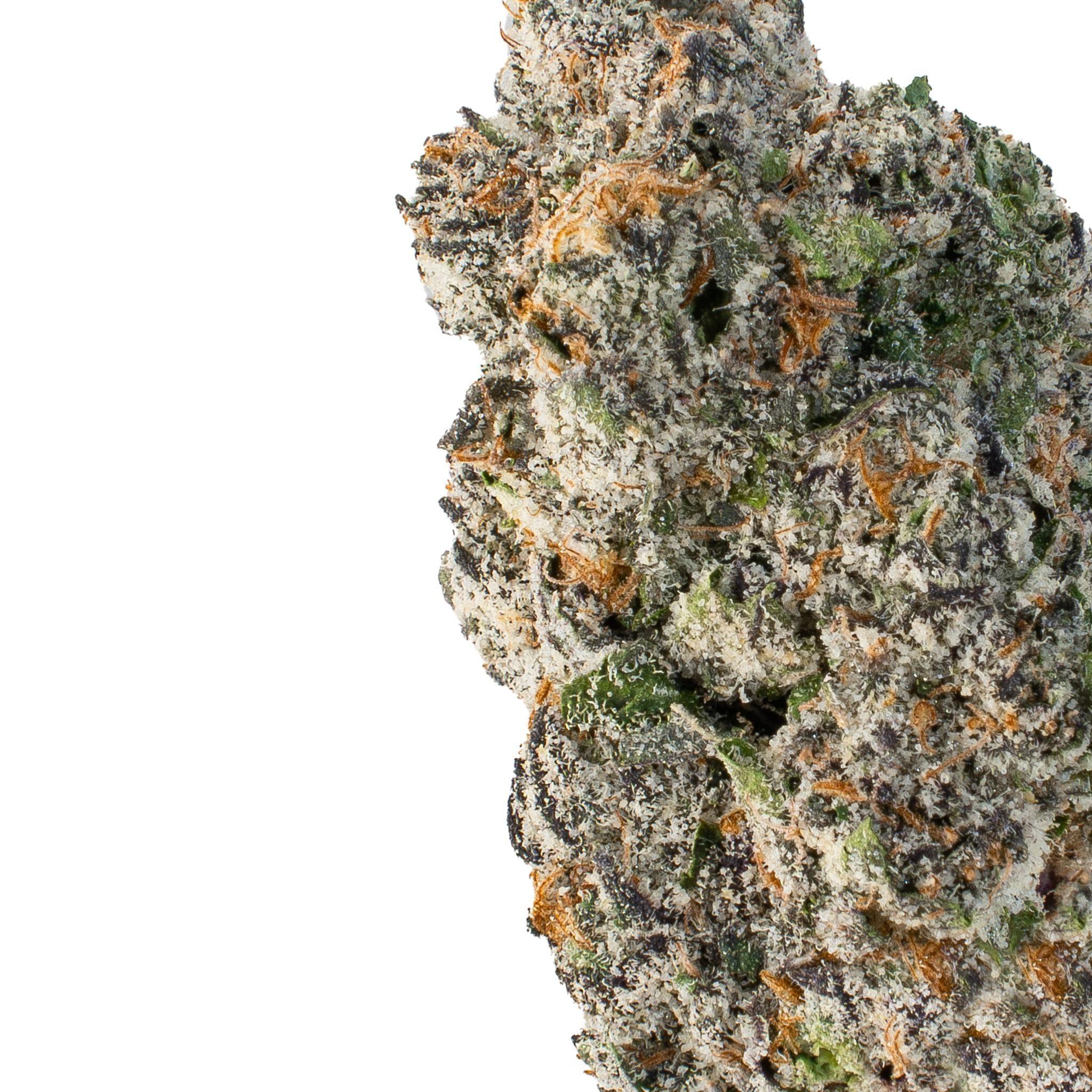 White Widow (Hybrid)