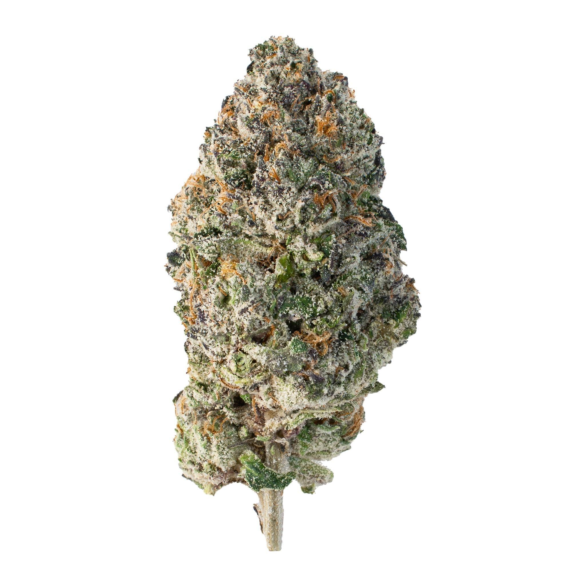 Nimbus Runtz ( Indica Hybrid )