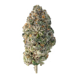 Nimbus Runtz ( Indica Hybrid )