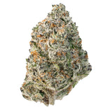 Zuper Candy Gumdrop (Hybrid)
