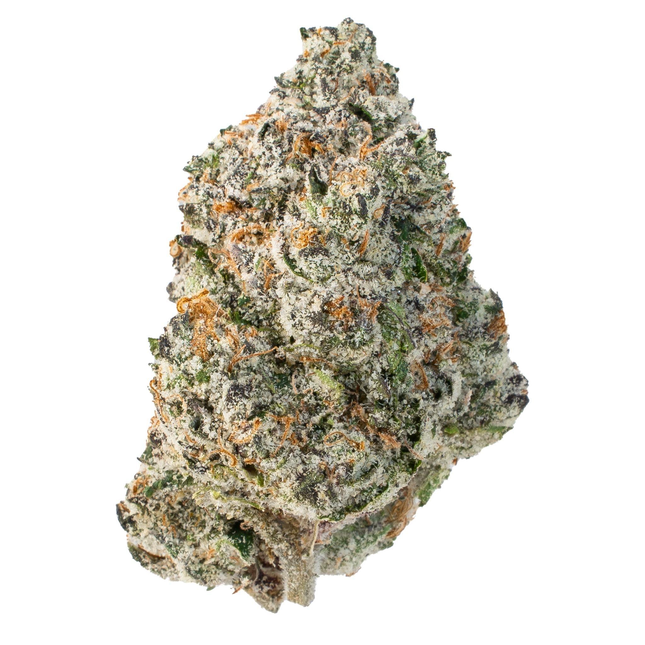 L' Atelier Starhush ( Indica Hybrid )