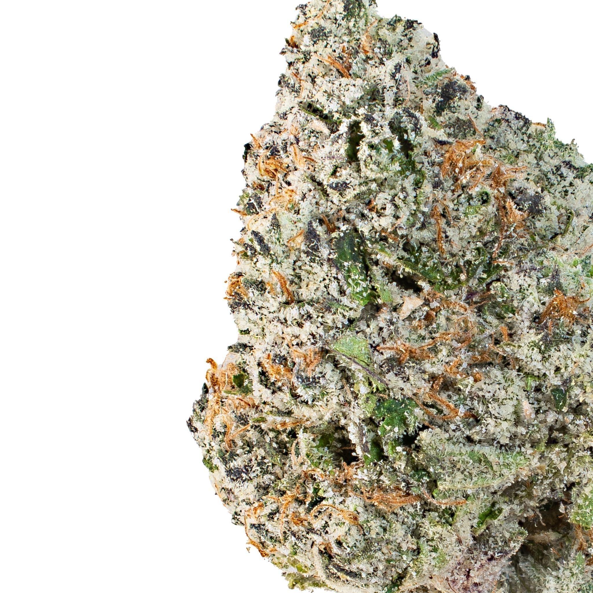 L' Atelier Starhush ( Indica Hybrid )