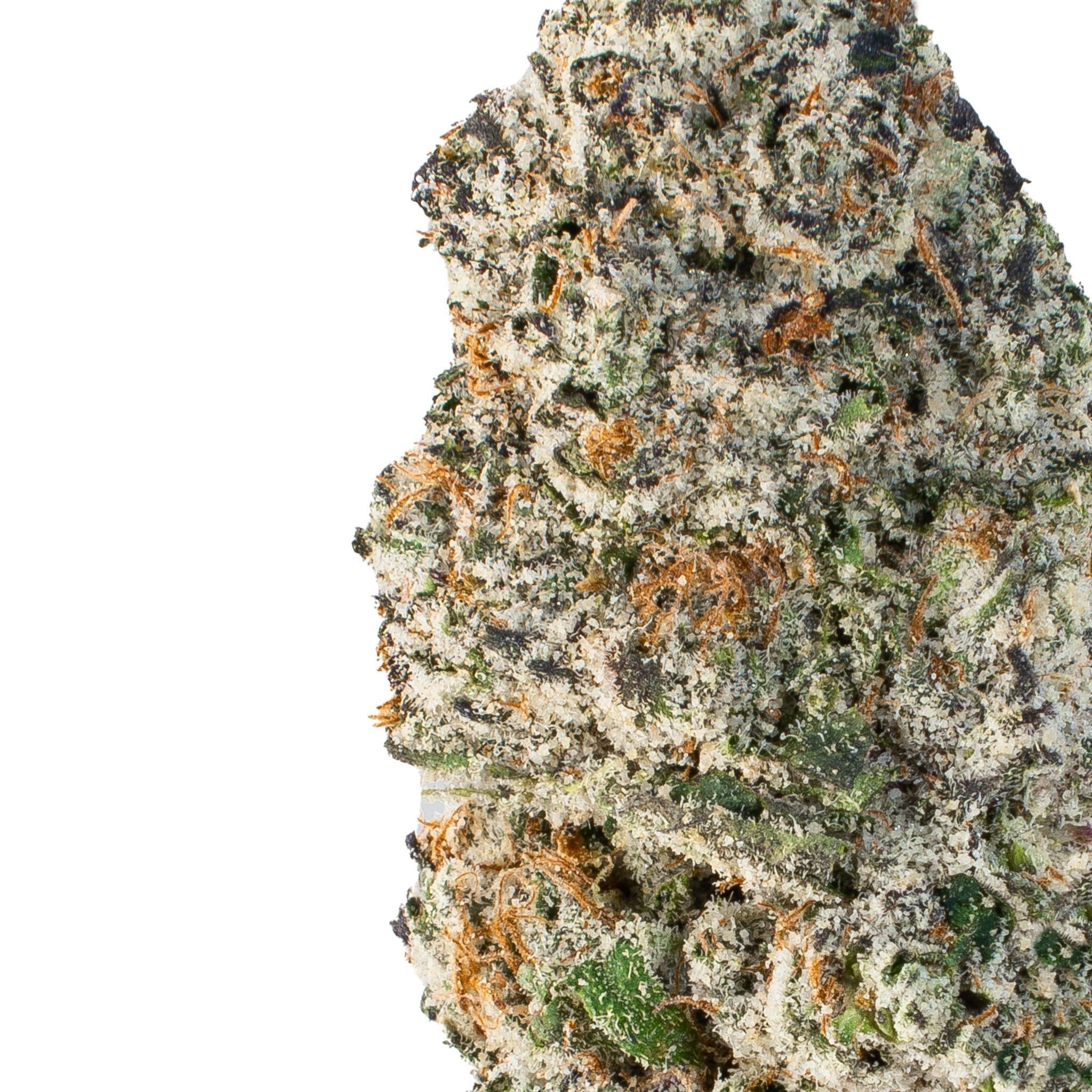 Vespera Starbeil ( Indica Hybrid )